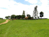 Linda fazenda em Aquidauana - MS
