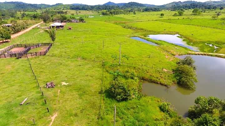 FAZENDA EM MONTE NEGRO (RONDÔNIA)