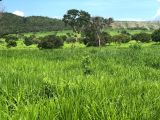 SÍTIOS E FAZENDAS TOCANTINS - 630 ha 