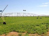 Linda Fazenda 11.829 hectares A Melhor Fazenda a venda em Goiás‐ GO