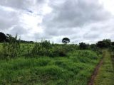 FAZENDA NO ESTADO DE MATO GROSSO .MT. - 25.000 HECTARES 