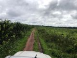 FAZENDA EM CARLINDA- MT  -  área total 1.805 hectares