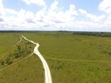 Fazenda a venda no município de Tartarugalzinho localizado no Ramal do Terra Firme