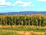 FAZENDA DE 60.000 MIL hectares na Bahia