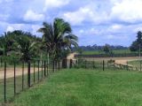 Fazenda cidade de Santarém, Estado do Pará. 6.505 ha