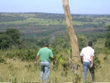 FAZENDA A VENDA NO MUNICÍPIO GUIRATINGA MT