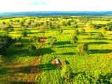 Fazenda de 1.355 ha pra dupla aptidão SOJA e PECUÁRIA no Tocantins