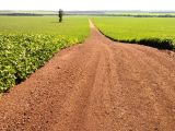 Fazenda de 4.000 ha pra dupla aptidão SOJA e PECUÁRIA no Tocantins