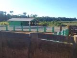 Excelente Fazenda em Rondônia - 4000 mil ha Area Total