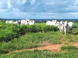 DESCRIÇÃO PROPRIEDADE RURAL  - 6.505 ha