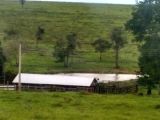 Fazenda a venda na região de Paranaíba MS