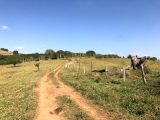 Fazenda para Venda, Careaçu / MG