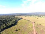 480 ha abertos em pastos de qualidade - centro urbano de Aparecida do Rio Negro (TO)