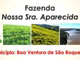 Excelente Fazenda com 990 Alqueires - Dupla Aptidão - Boa Ventura de São Roque