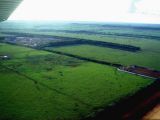 Fazenda com Dupla Aptidao Pecuaria e Agricultura