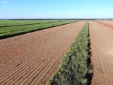 Fazenda em uma das regiões mais nobre do Brasíl