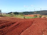 Fazenda 40 alqueires paulista (planta até 30) Região de Rio Branco do Ivaí PR