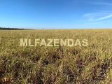 FAZENDA EM BRASILÂNDIA / MS