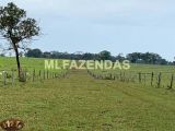 Fazenda em Santa Rita do Pardo / MS