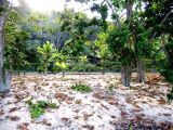 Lote / Terreno Residencial localizado(a) no bairro: Praia Saco das Bananas - Ubatuba