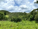 Terra para arrendamento em porto velho rondonia