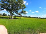 Fazenda pronta formada na pecuária em CASSILÂNDIA MS