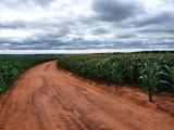 Fazenda de 5 mil hectares em MS