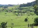SÍTIO NA REGIÃO DO MUNICÍPIO DE CACOAL (RONDÔNIA) - 21 alqueires