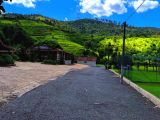 Fazenda a venda em Guarapuava