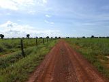 FAZENDA LOCALIZADA NA REGIÃO DE ALVORADA-TO- 563 alqueires