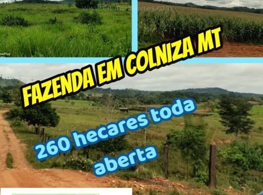 FAZENDA EM COLNIZA -MT (260 hectares )