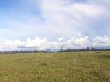 FAZENDA ENTRE ARIQUEMES E PORTO VELHO (RONDÔNIA)