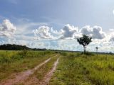  FAZENDA NA REGIÃO DE PIMENTA BUENO ESTADO DE RONDÔNIA