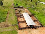 FAZENDA A VENDA NA REGIÃO DE NOVA CALIFÓRNIA (RONDÔNIA)