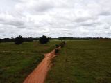  FAZENDA A VENDA NA REGIÃO DE JUINA (MATO GROSSO)