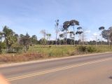  FAZENDA A VENDA NA REGIÃO DE EXTREMA (RONDÔNIA)