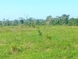 FAZENDA NA REGIÃO DE VISTA ALEGRE (RONDÔNIA)