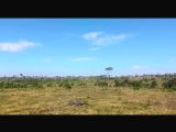  FAZENDA NA REGIÃO DE VISTA ALEGRE (RONDÔNIA)