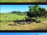  SÍTIO NA REGIÃO DE PACAJÁ (PARÁ)