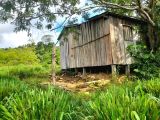  FAZENDA NA REGIÃO DE PACAJÁ (PARÁ)