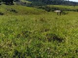  FAZENDA NA REGIÃO DE JACUNDÁ (PARÁ)