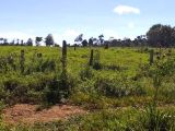  CHÁCARA NA REGIÃO DE MACHADINHO DO OESTE (RONDÔNIA)