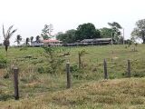 SÍTIO NA REGIÃO DE MONTE NEGRO (RONDÔNIA)