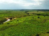  FAZENDA NA REGIÃO DE JACUNDÁ (PARÁ)
