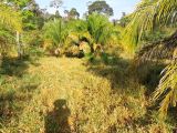  FAZENDA NA REGIÃO DE VALE DO ANARÍ (RONDÔNIA)