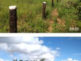  CHÁCARA NA REGIÃO DE ARIQUEMES (RONDÔNIA)
