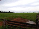  FAZENDA A VENDA NA REGIÃO DE EXTREMA (RONDÔNIA)