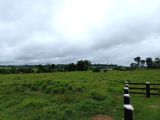  FAZENDA A VENDA NA REGIÃO DE CUJUBIM (RONDÔNIA)