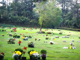 Melhor Jazigo Cemitério Morumby - 100m Do Velório (Área Nobre)