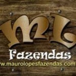 MAURO LOPES FAZENDAS